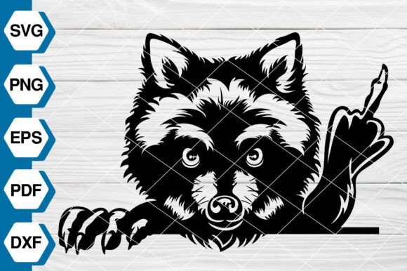 Funny Raccoon Graphics for Illustrations and Editorial Design